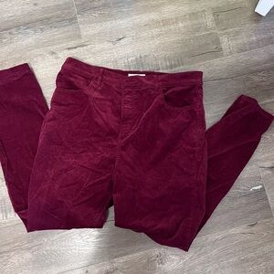 LOFT Burgundy Pants